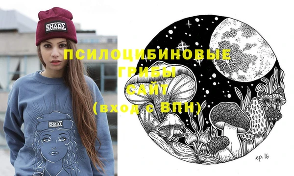 соль ск Елизово