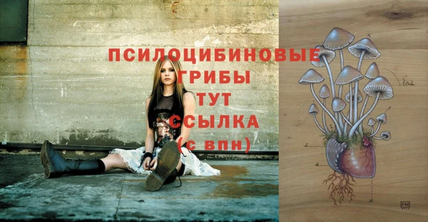 дживик Елабуга