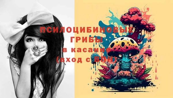 соль ск Елизово