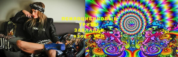 соль ск Елизово