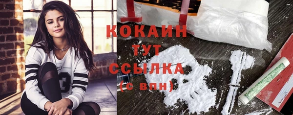 дживик Елабуга