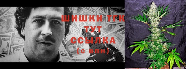 соль ск Елизово