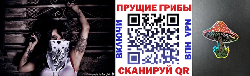 Псилоцибиновые грибы Cubensis  Купить где  Вилюйск 